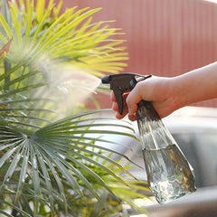 Spray Water Bottle