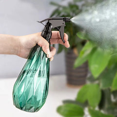 Spray Water Bottle