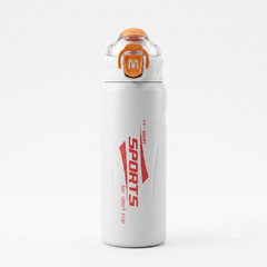 Stainless Steel Water Bottle
