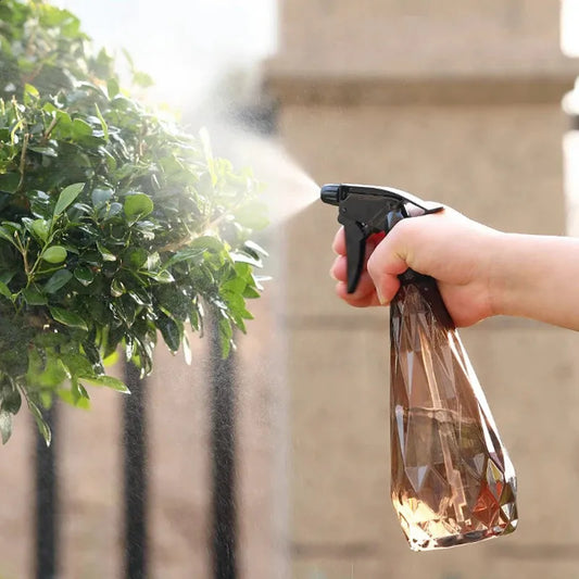 Spray Water Bottle