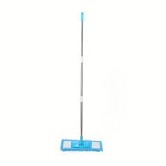 Home Cleaning  Dry Mope